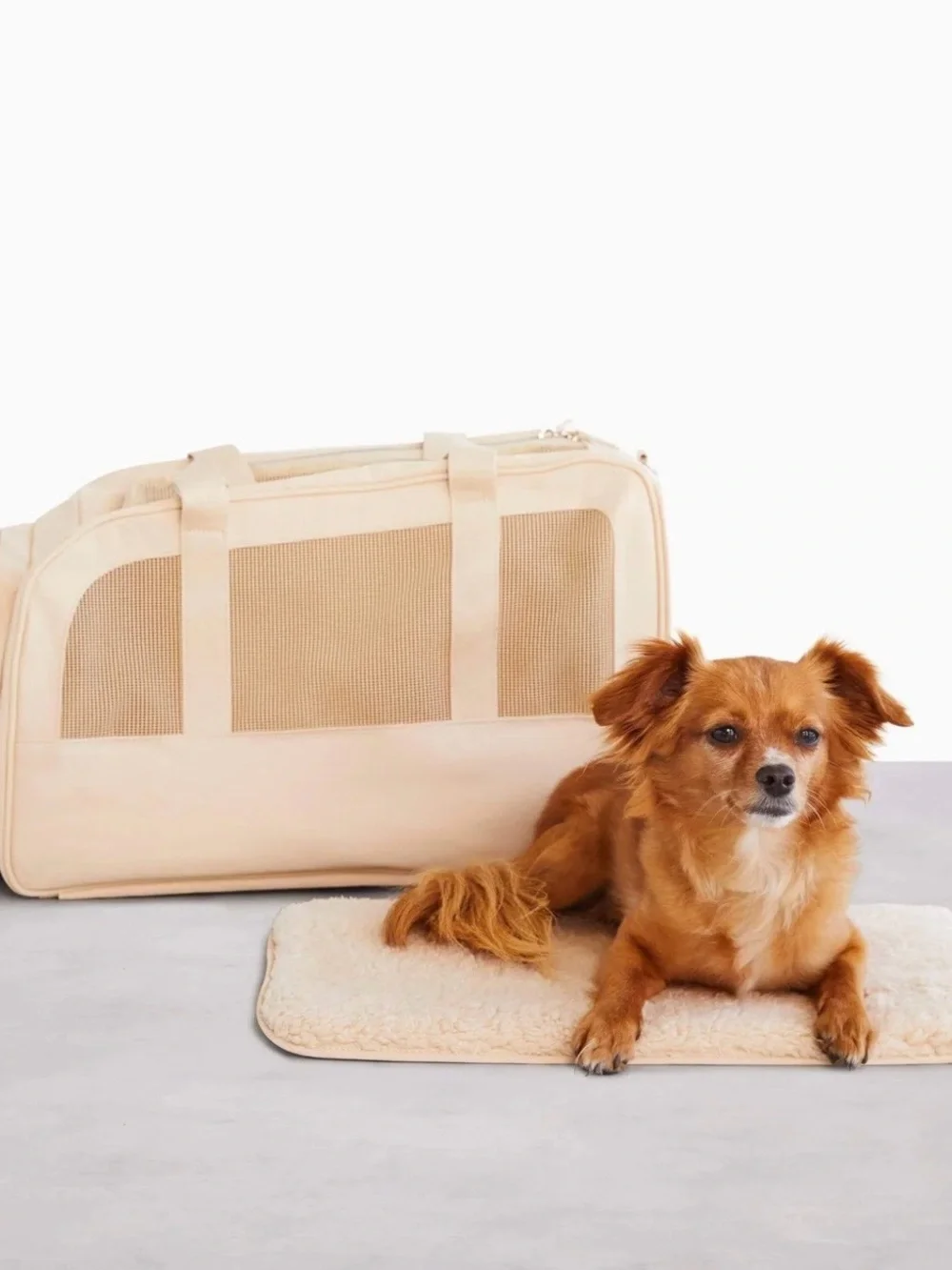 NWOT BÉIS The Regulation Pet Carry-On in Beige — Discontinued/HTF!